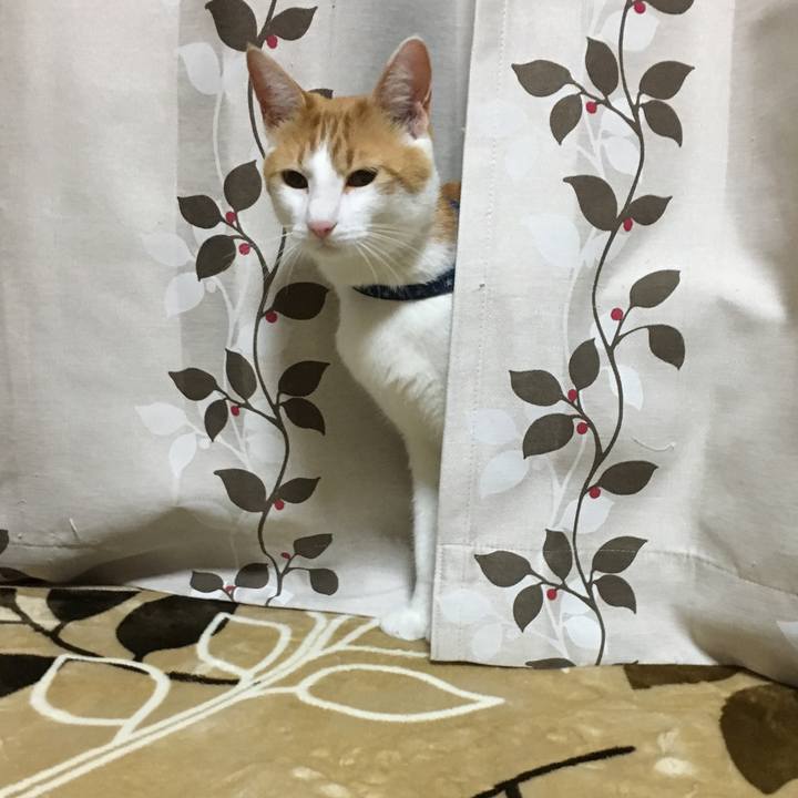 3f5f0df4 bb98 4b4a ac73 a7ff61b515e7