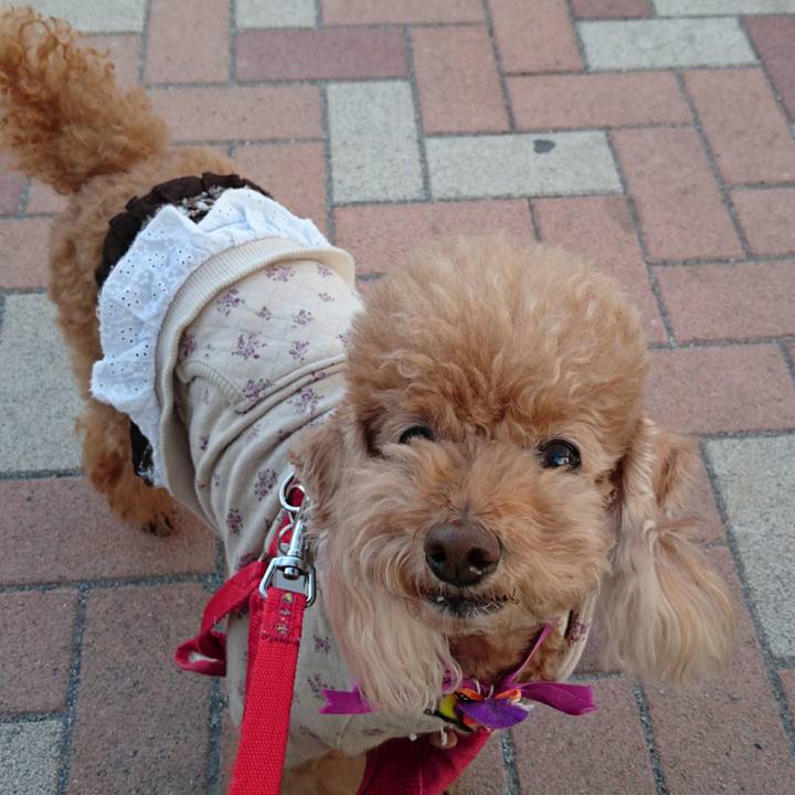 3f5f2d87 9728 4278 a8de f165465387f9