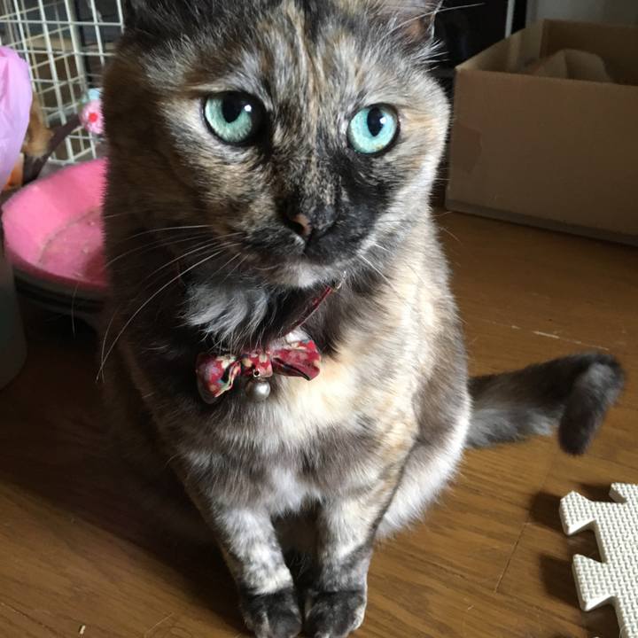 3f5f55e0 879c 4bb7 9750 d73bbec7a421