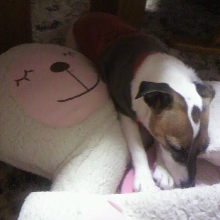 3f60cfab b127 4dfe 99da 0f0034cc2a5f