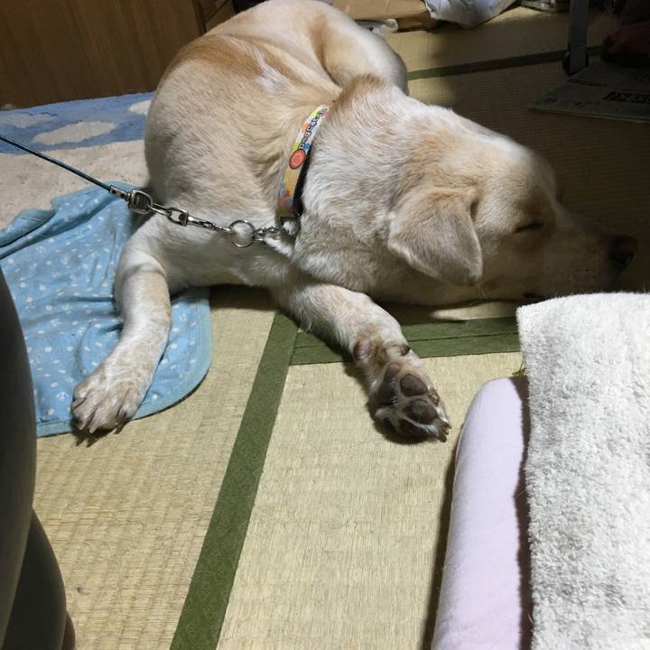 3f617015 29ce 4145 bc40 1390eb788940