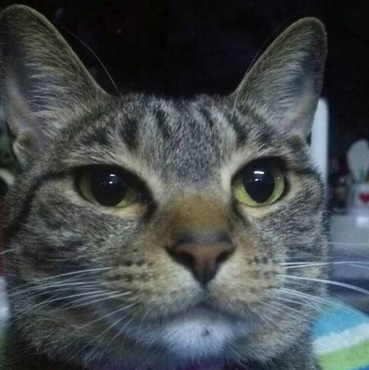 3f61db07 79d8 4341 8a21 27c6455a4094