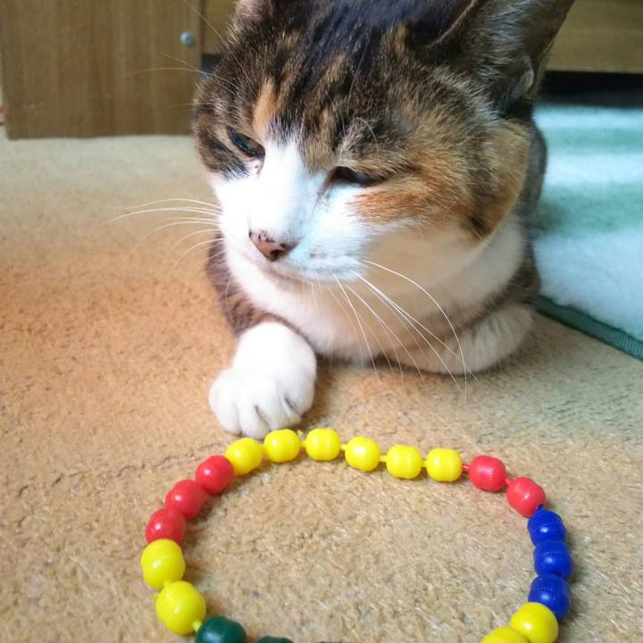 3f6224c4 6020 4b2f 935b 5bb1cbe11386