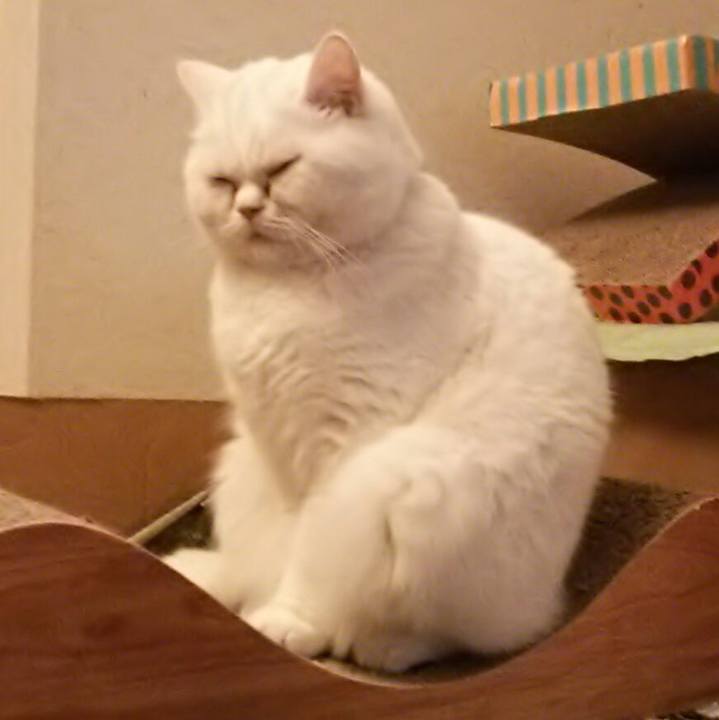 3f622ef3 e079 4ca3 8104 df6ac95e6bcd