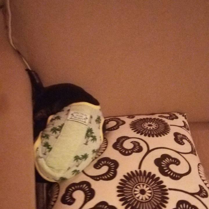 3f62462f f3a7 41e6 9f80 bebe432252a2