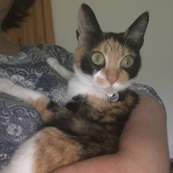 3f626fea cd6b 4efc a1b6 4d5ec7d3ca14