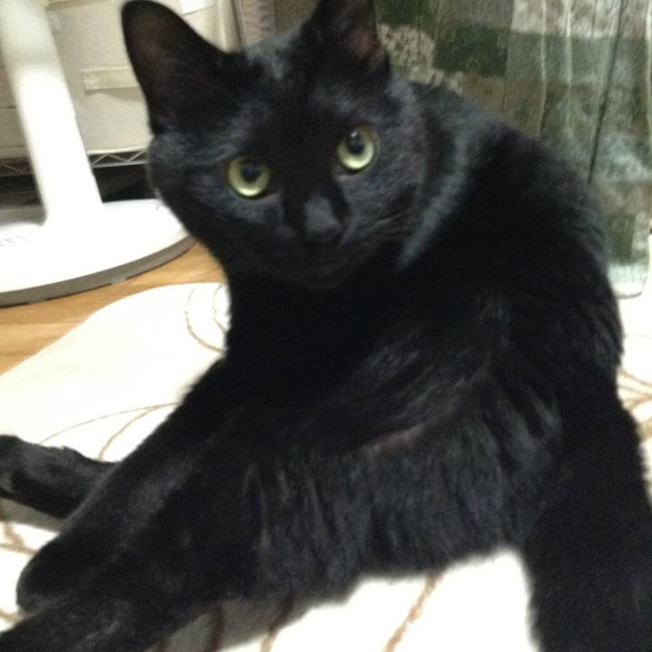 3f6282d7 48f8 408e ba26 dff7286499be