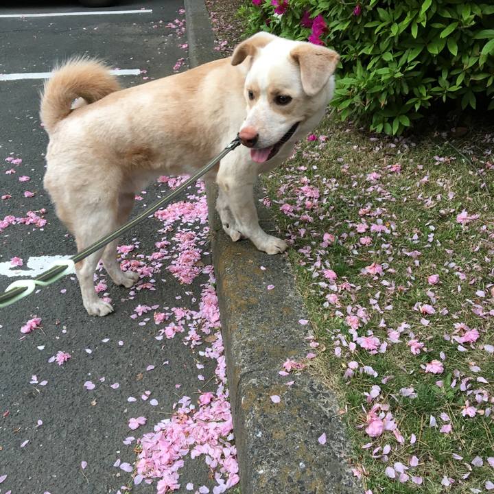 3f628893 c332 4ddc a73b 3750748fd1c1