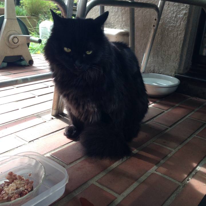 3f62ba28 6f18 4914 bdbc 42ec59fa0a5d