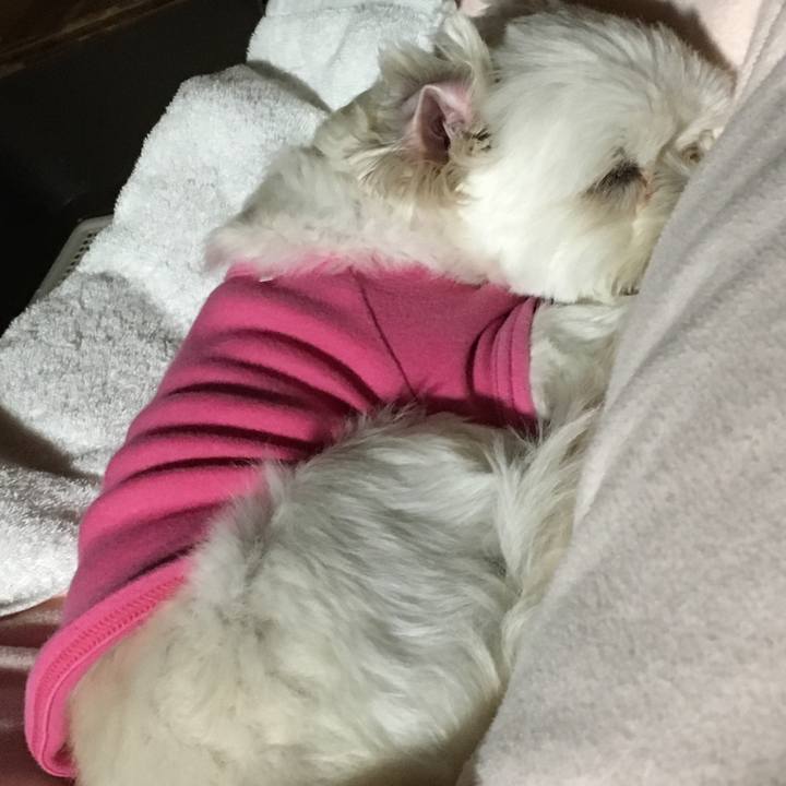 3f62f3b5 bdbd 43b3 8834 0e08eba6631e