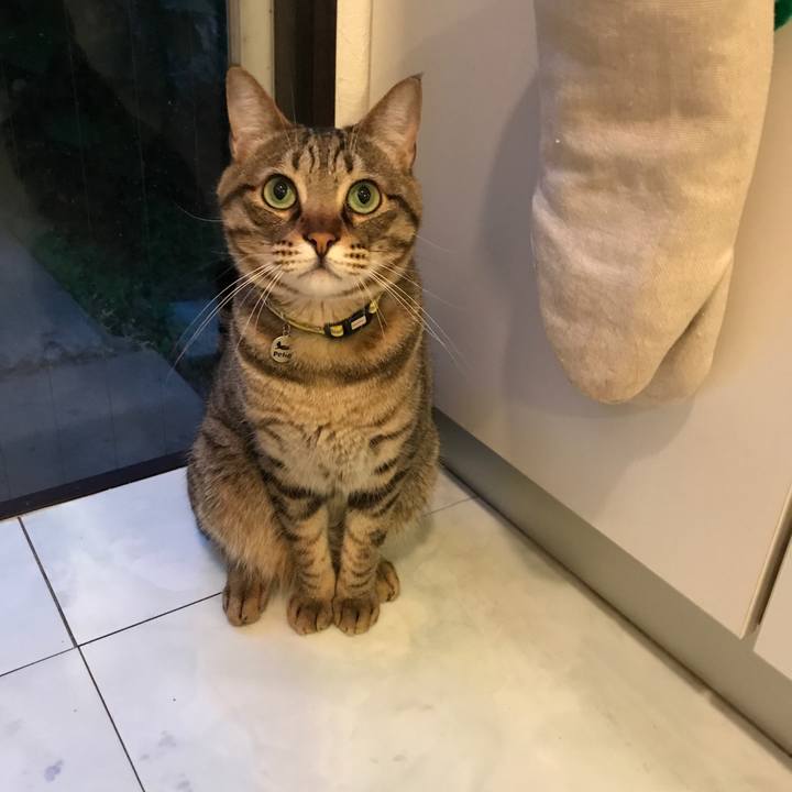 3f631f55 05dd 412f b3c5 30eab5612c16