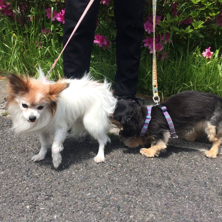 3f645437 6967 48dd 821b ab683c228761