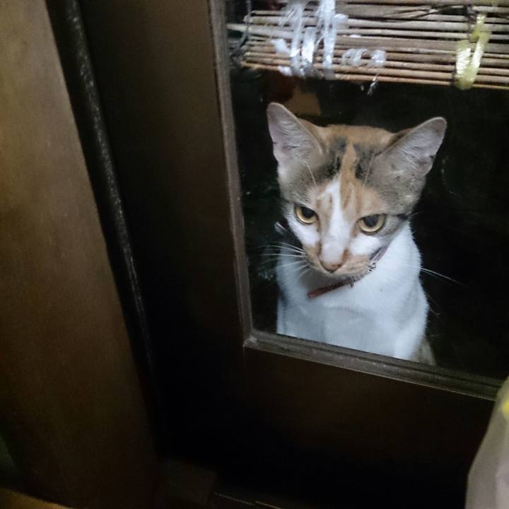 3f654398 68b7 4649 9e43 4ba2128b32c1