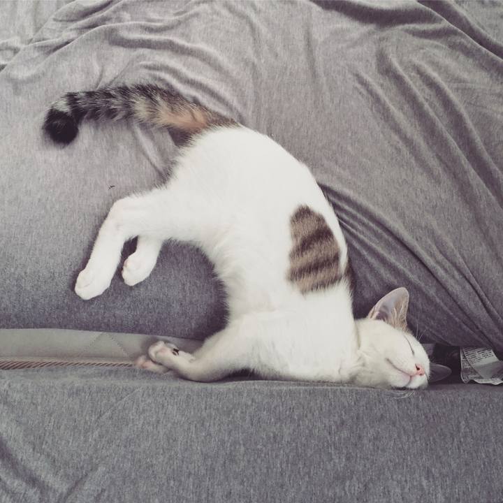 3f656774 f602 40e2 9fbc 0b0ddb89741c