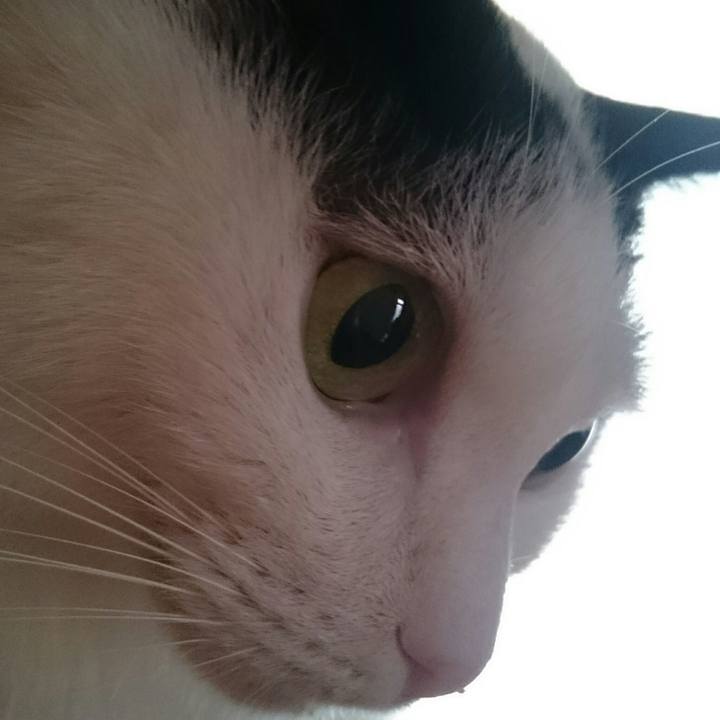 3f65a582 0ff2 4ef1 8283 475f3f049f51