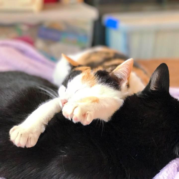 3f65cf09 1353 4749 b22a 498f1997683b