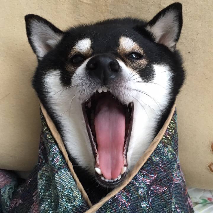 3f65dc8b 0f5a 493f a784 1f374702ddc8