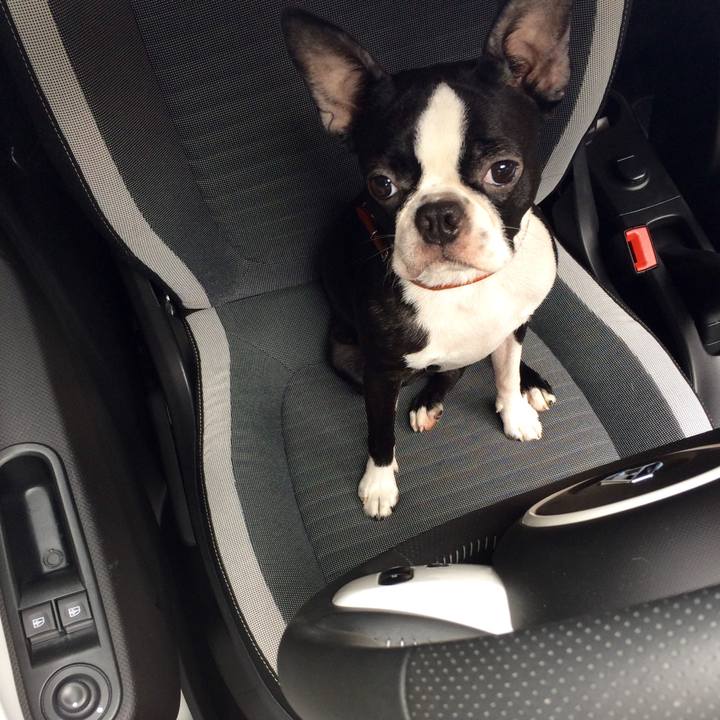 3f66dc10 5215 4f10 8929 faed9947ec3e