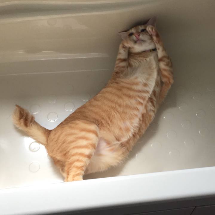 3f673e2f cacf 40cb bac0 25d29e1f71fa