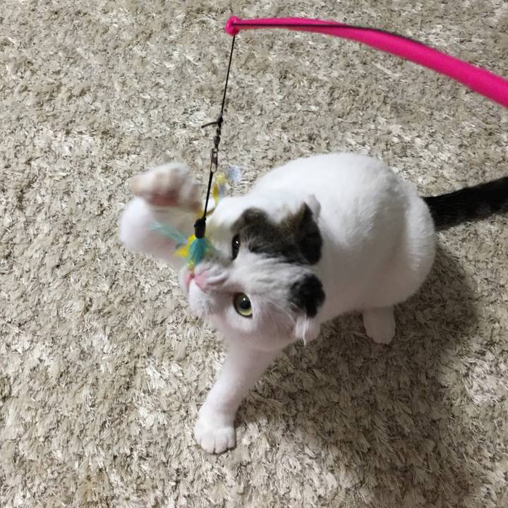 3f6745a7 0f23 436e 918b c4b68723cacc