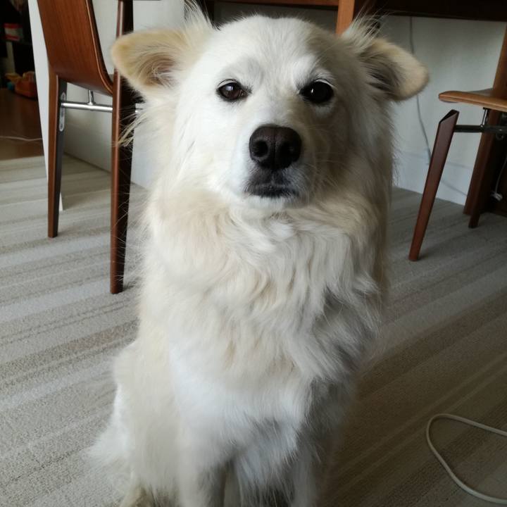 3f677348 587f 4e16 a498 9591b51f1e76