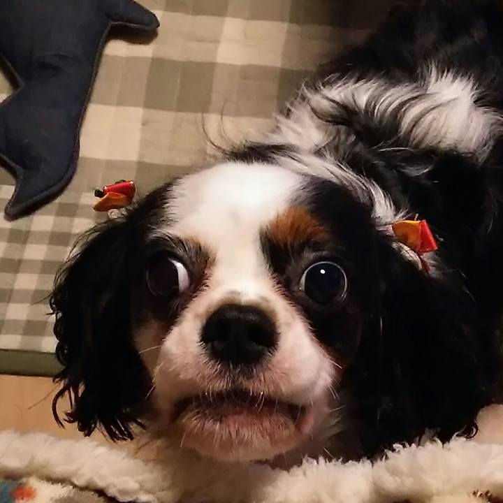 3f6831fd b5fe 40fa a73c 89d70cab0599