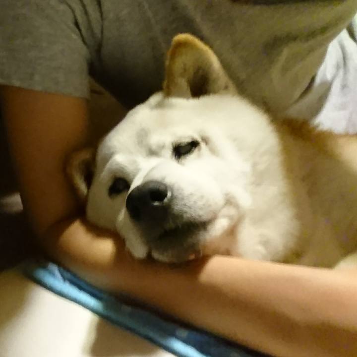 3f68ae1f fd54 42d3 bc26 b767a2f1fff4