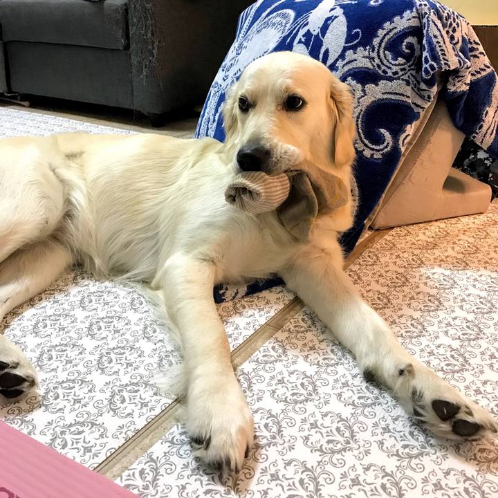 3f699ecc 7b3f 42fc af03 d98e5def83c2