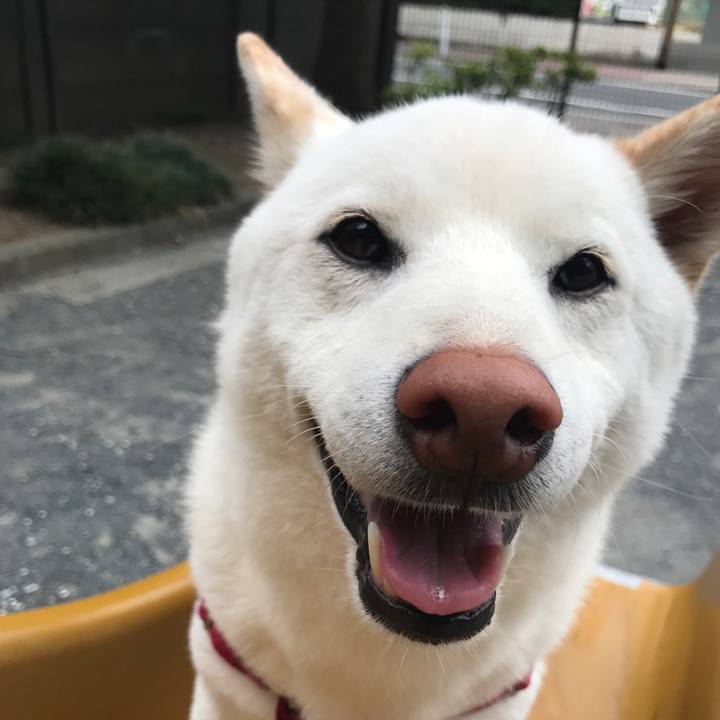 3f69cda5 aaaa 445d 9d23 18e1be4fa5cc