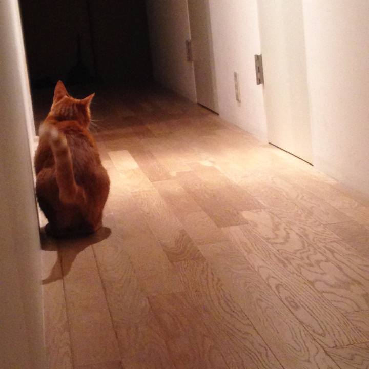 3f6a23f5 18a9 4911 86c8 3ec71cc08f90