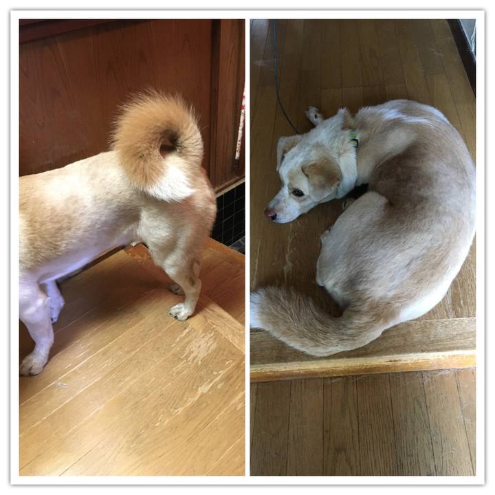 3f6a64e1 541c 4f5f 89c6 305742b4d226