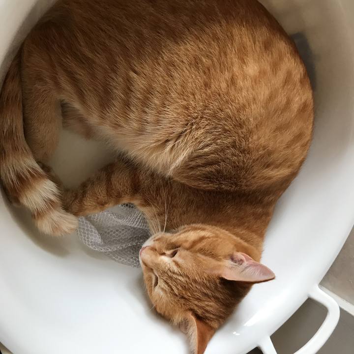 3f6accec 0ae2 42a1 ac67 302effb5587f