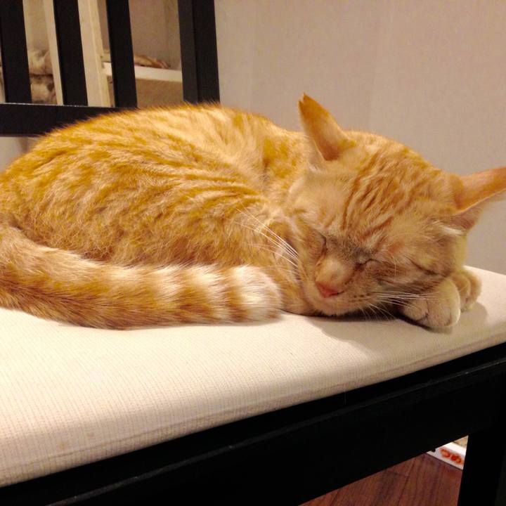 3f6aebf7 3fee 4130 ac8d 0a2ffd3fb5c4