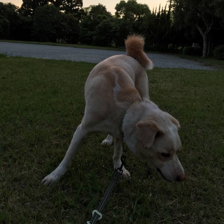 3f6b3e38 a737 4a66 869a dfbc7ee61235