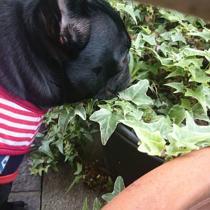 3f6b3ff9 5cb0 43c4 8f89 cc15f10d0db4