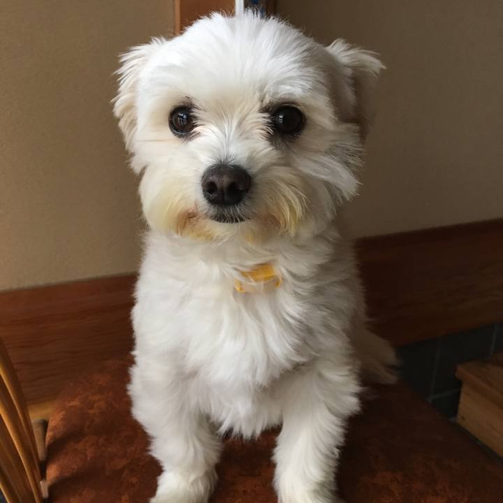 3f6b4b60 c992 4d07 a352 364070cec13f