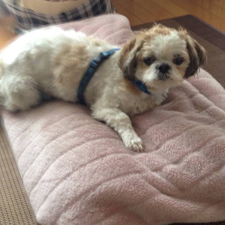 3f6b6f0f ffbb 4d72 af20 88aa4c4b5f8c