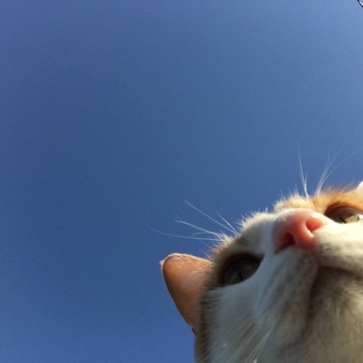 3f6b7801 cc9f 4431 8398 ddd15ab1ccf2