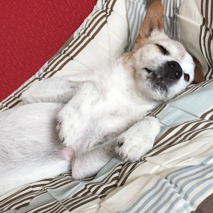 3f6bef83 2b78 4ce8 b2d6 e4748fe190f5