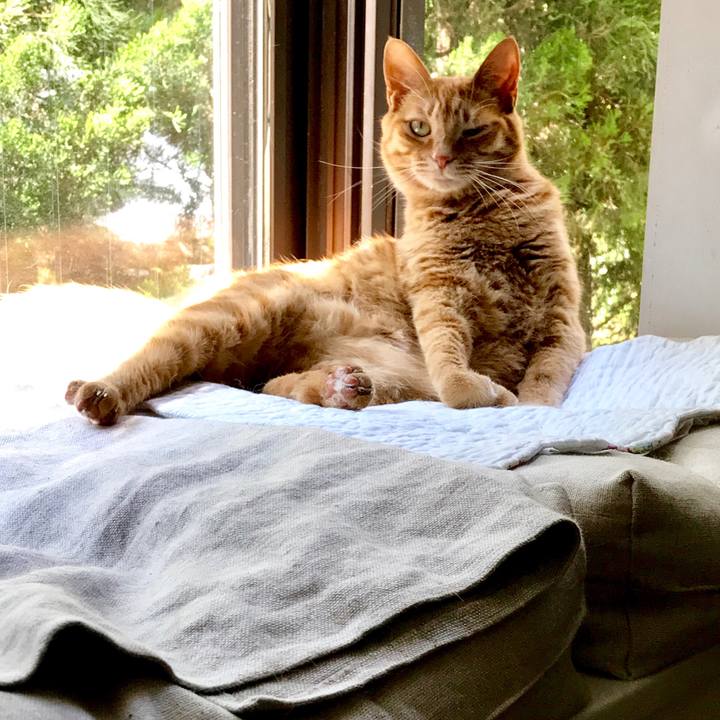 3f6c6b6f 739d 4d9e afdd 3a32fc8f4c02