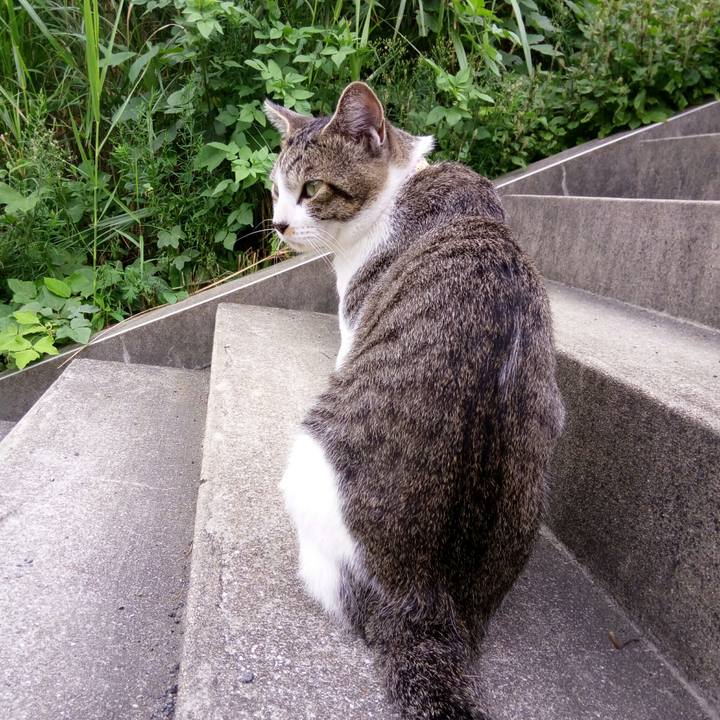 3f6cb5af 5b49 40a9 8836 f1b5e323bbe4