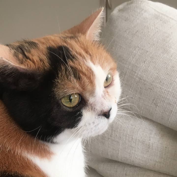 3f6d859f 7478 4a1d b078 5c64501f0017