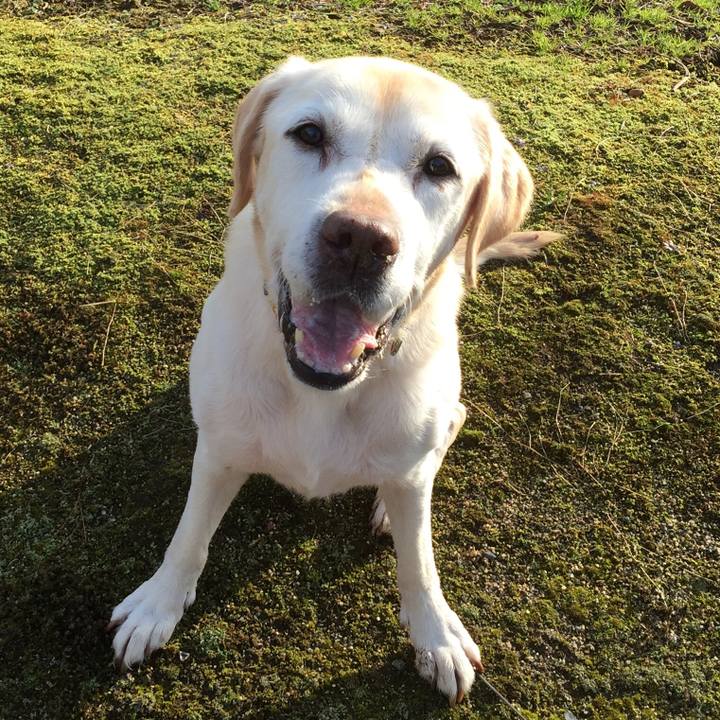 3f6d9f02 4a2d 4813 a287 1a16e035e28d