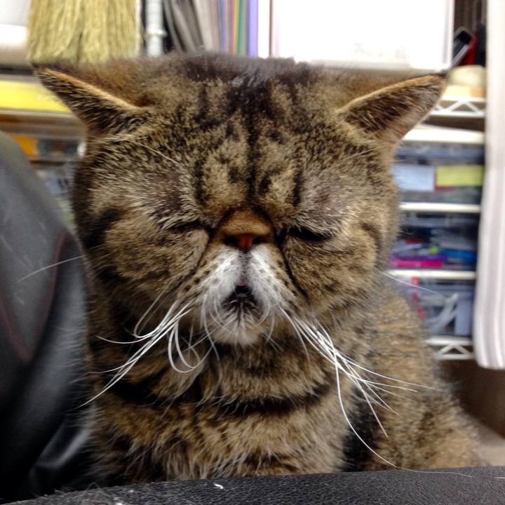 3f6dc136 ac0f 4bb1 aa03 e19ce2c0fcc5