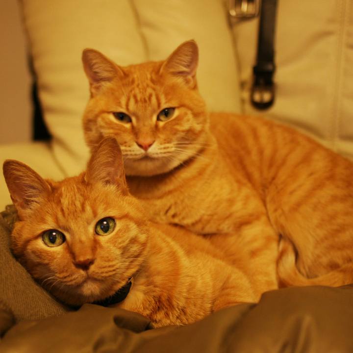 3f6e194a 88b6 4bc5 ab0f 5ca6c9936f15