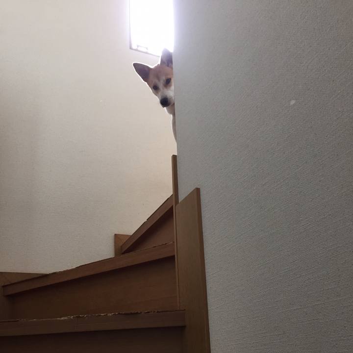 3f6e1bdd 9e70 4963 9002 9ea65c44be2f