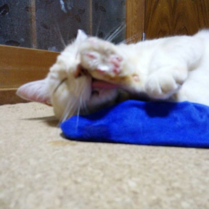 3f6e2138 5302 4574 adf0 d78cd74a0343