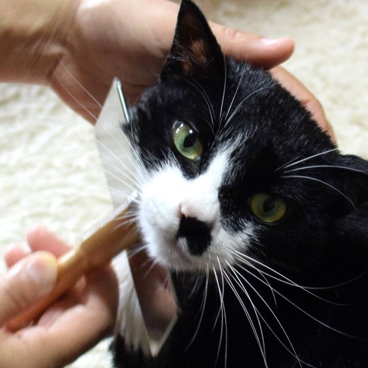 3f6e4c90 918b 4cda a7c2 96373eb7f26f