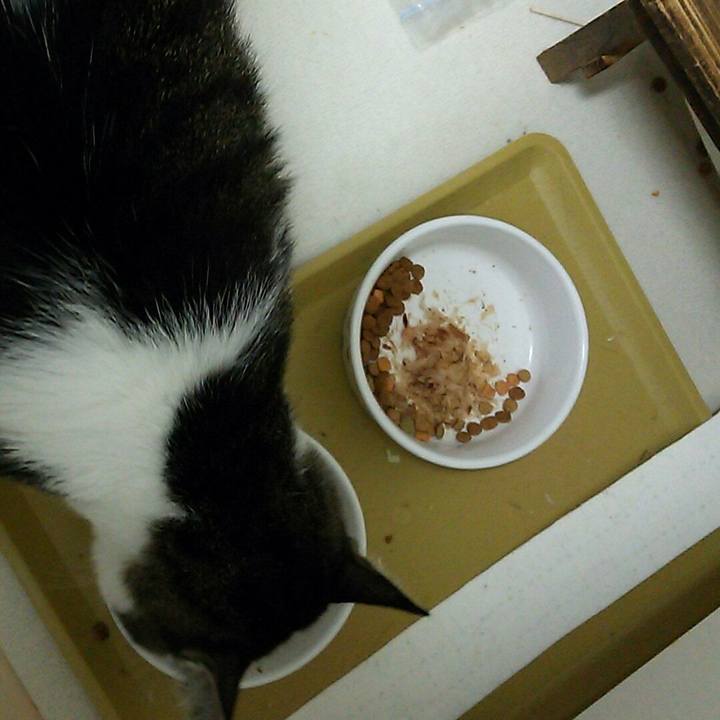 3f6e753c 1d0f 4c32 b54e d9315112c464