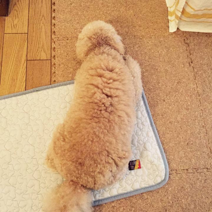 3f6ec330 0d4e 40cc 9722 17a519b98ae7